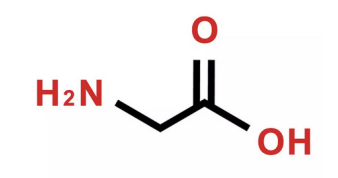 GLYCIN - Tổng hợp Protein